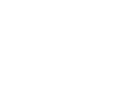 VR expert logo